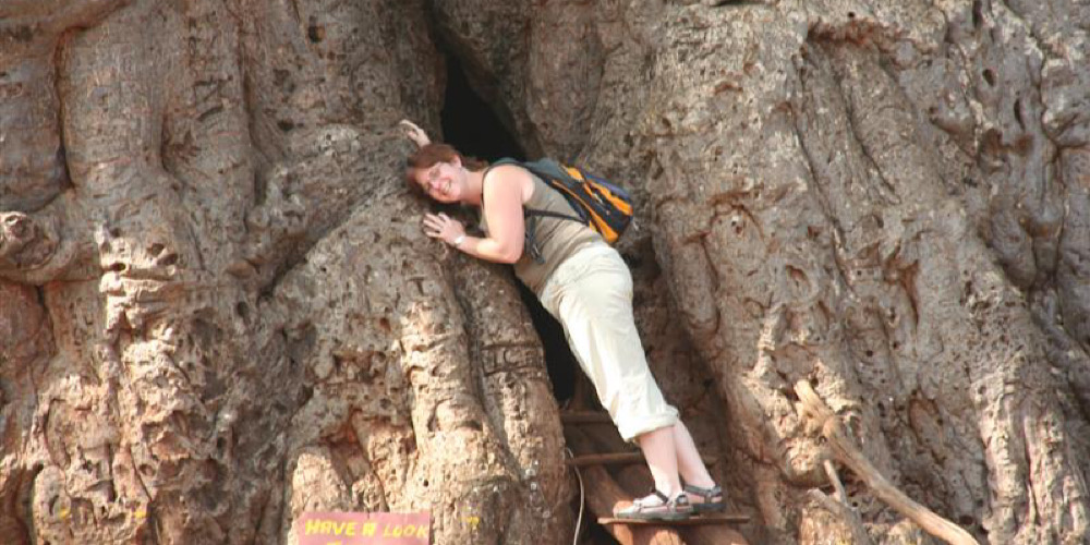 Syl knuffelt een enorme Baobab boom