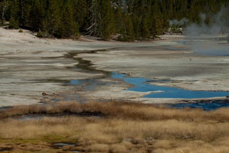 Norris geyser basin