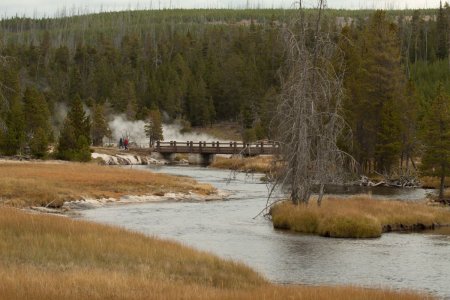 The Lower Geyser Basin