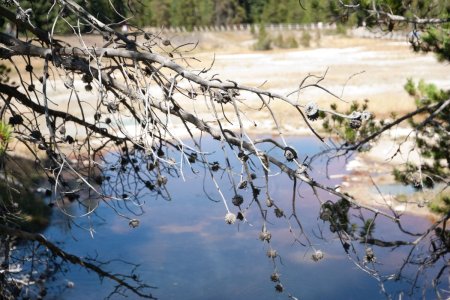 West Thumb Geyser Basin