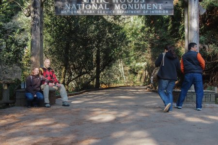 Muir Woods Nationaal Monument, iets ten noorden van San Francisco