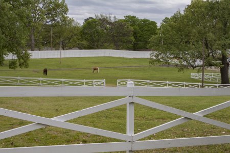 Paardjes op het landgoed van Graceland