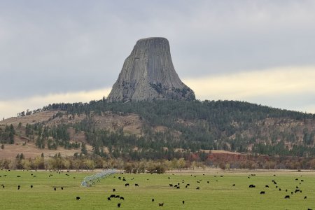 Devils Tower met daarvoor een cattle ranch