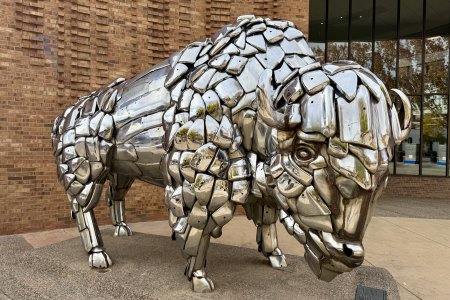 Bison kunst op Main Street, Grand Junction