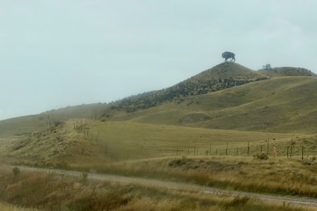 We rijden Wyoming binnen, bison state