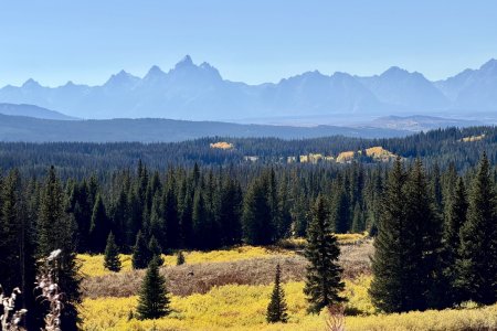 Uitzicht op de Tetons met herfst kleuren