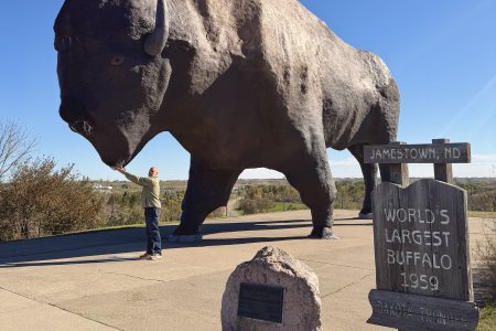 Pat kietelt de baard van The biggest bison in the world