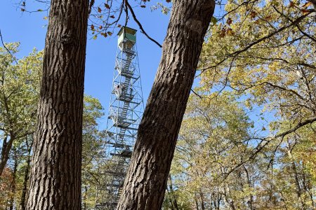 Een firetower in Itasca State Park