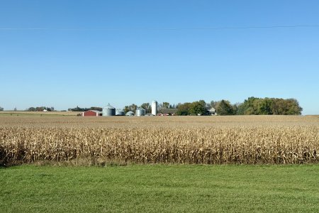 Farmland Iowa