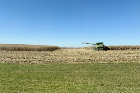 Er wordt hard gewerkt om mais van het land te halen