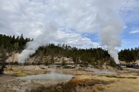 Stomende poeltjes in Hayden Valley