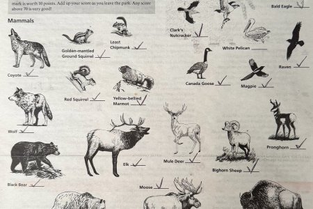 We hebben bijna alle diertjes afgevinkt tijdens deze reis