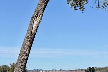 Brug over de Missouri River tussen Fort Pierre en Pierre