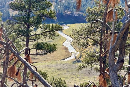 Uitzicht op Belle Fourche River vanaf Devils Tower