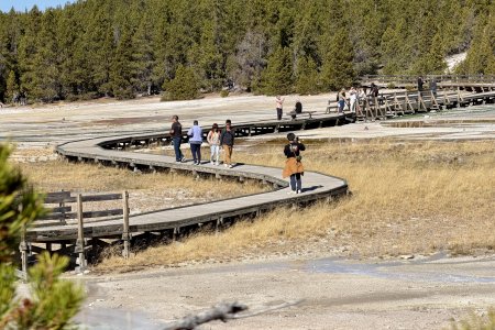 Norris Geyser Basin