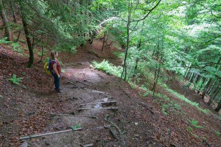 We moeten een vrij steile afdaling naar de Freibergsee maken