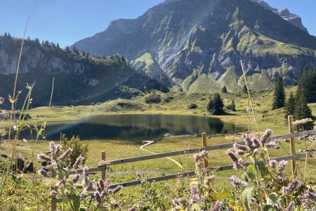 De Körbersee