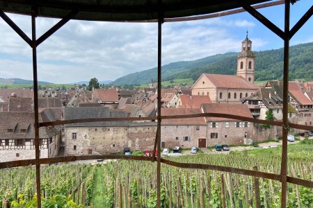 Uitzicht over Riquewihr vanaf een wijnberg