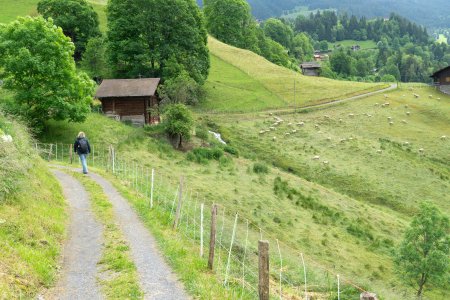 Wandelen van Wengen naar Lauterbrunnen