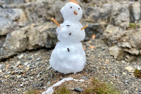 Het heeft vannacht nog gesneeuwd op hoogte