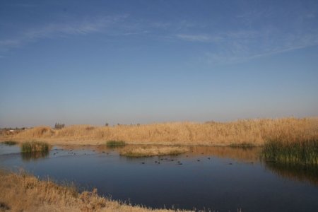 Jordanie