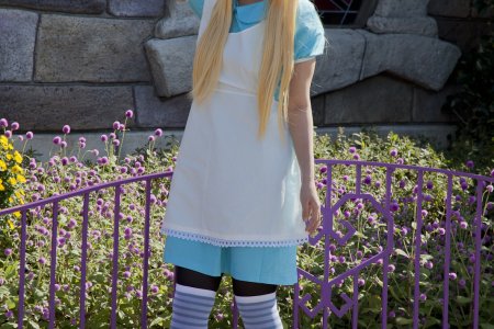 Alice in Wonderland