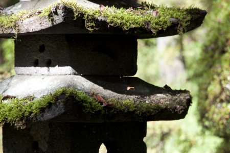 Nikko