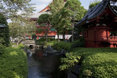 Een typisch Japanse tuin met bruggetjes en boompjes