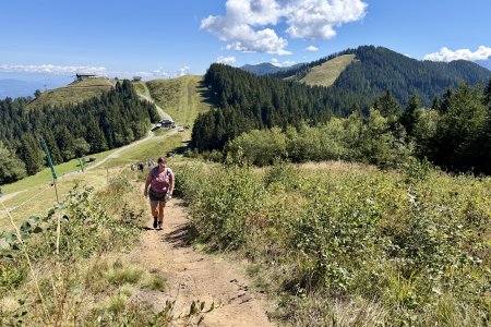 We wandelen aan de Sloveense kant naar het 3 landen punt