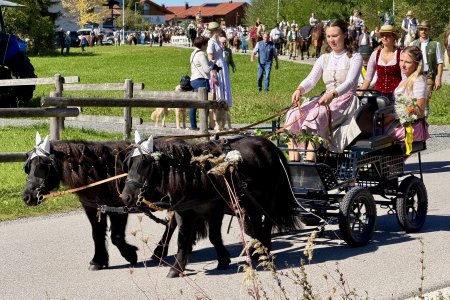 Ook de kleinere paardjes doen mee aan de traditionele rit door Inzell
