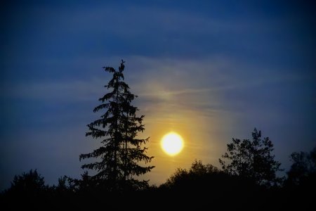 Volle maan en een heldere hemel