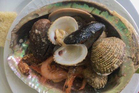 Mali-Ston, seafood