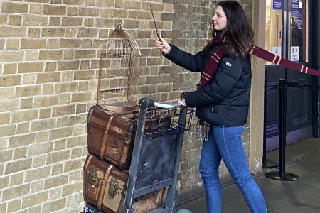 Harry Potter op Kings Cross station