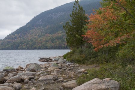 New England 2014