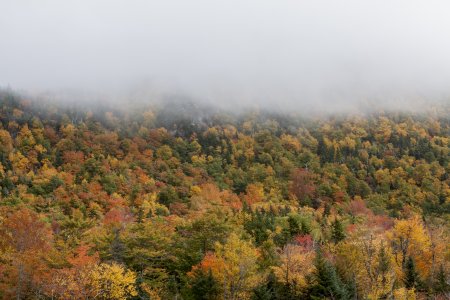 Mount Washington in de wolken