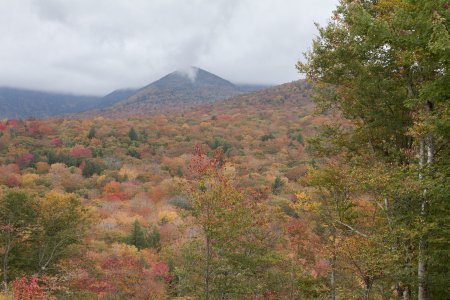 De mooie herfst kleuren in de White Mountains