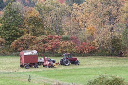 Niet alleen de schuurtjes, ook de tractors zijn rood
