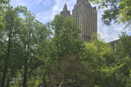 Central Park en omringende gebouwen