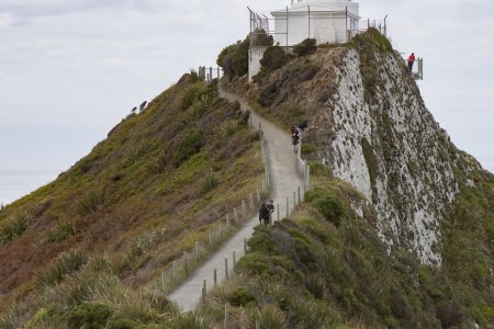 Nugget point lighthouse