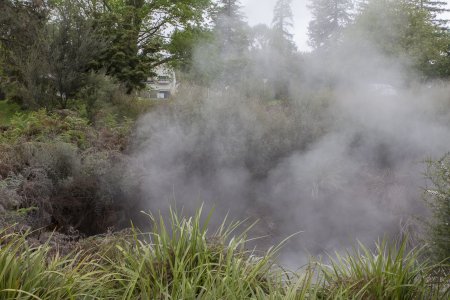 Overal in de grond borrelt er wel iets omhoog