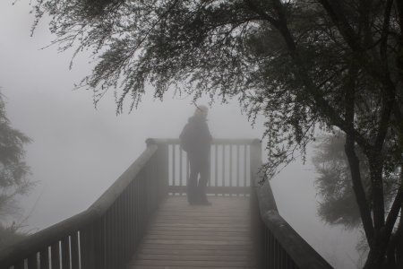 Syl is een schim geworden in de stoom van de vijver