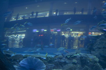 Aquarium in de Dubai Mall