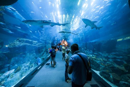 Tunnel in het aquarium van de Dubai Mall