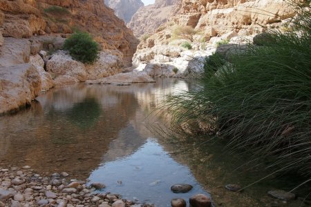 Een van de mooie meertjes in Wadi Shab