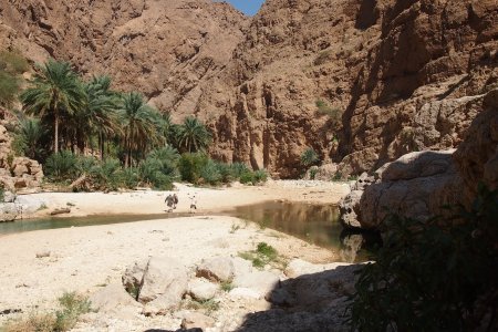 Onderweg in Wadi Shab