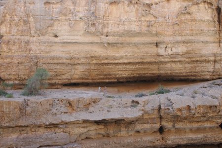 Rechte rotswanden in Wadi Shab