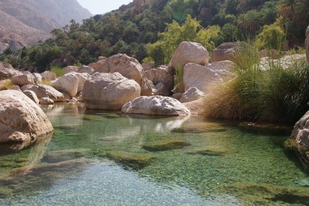 Wadi Tiwi