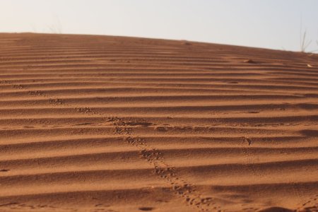 Wadi Shab Wahiba Sands