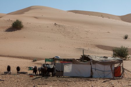Bedoeïen tent in Wahiba Sands
