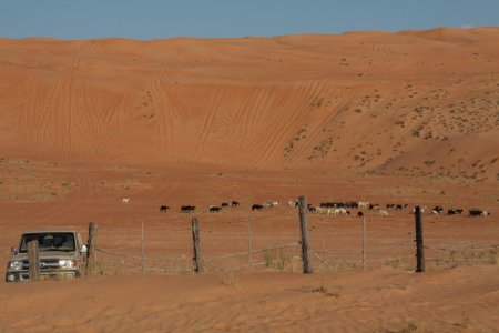 Oman 2012